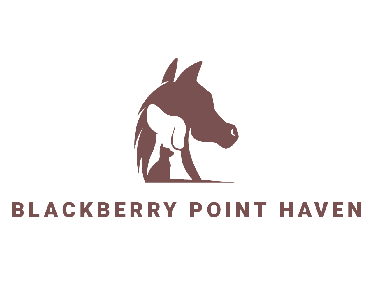 Blackberry Point Haven